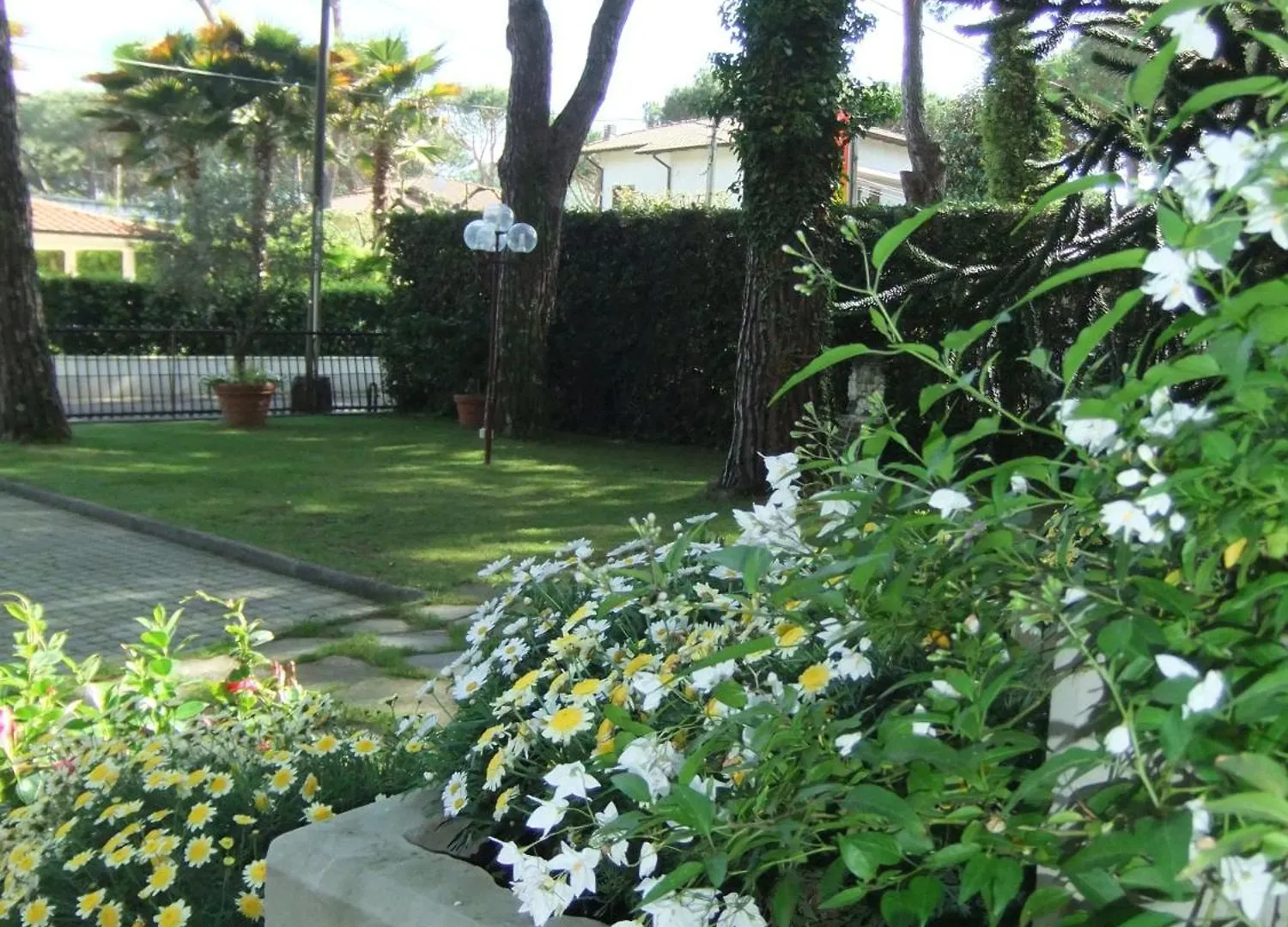 Hotel Giulio Cesare Cinquale 3*,